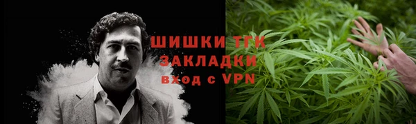 эйфоретик Сосновый Бор