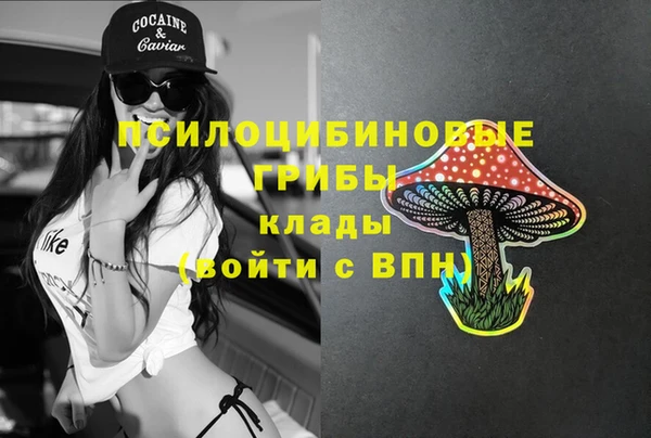 эйфоретик Сосновый Бор
