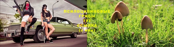 эйфоретик Сосновый Бор
