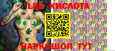 мяу мяу мука Рыбинск